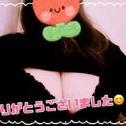 ヒメ日記 2025/04/25 16:29 投稿 しき 香川高松ちゃんこ