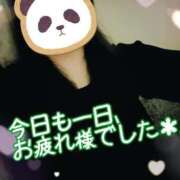 ヒメ日記 2025/04/29 00:19 投稿 しき 香川高松ちゃんこ