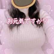 ヒメ日記 2025/05/12 10:29 投稿 しき 香川高松ちゃんこ