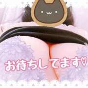 ヒメ日記 2025/05/25 12:01 投稿 しき 香川高松ちゃんこ