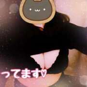 ヒメ日記 2025/05/27 12:49 投稿 しき 香川高松ちゃんこ