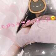 ヒメ日記 2025/07/19 04:29 投稿 しき 香川高松ちゃんこ