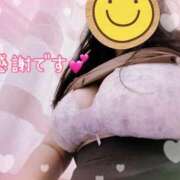 ヒメ日記 2025/09/11 04:09 投稿 しき 香川高松ちゃんこ