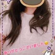 しき お礼のお手紙 香川高松ちゃんこ