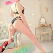 ヒメ日記 2025/04/23 12:45 投稿 そら セレブクエスト-Nishikawa-