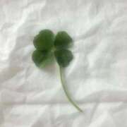 あき お礼 💌 川越ぷよステーション