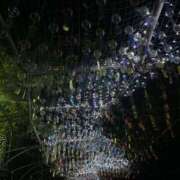 ヒメ日記 2025/07/28 12:11 投稿 秋吉 れん ホットアロマ