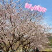 ヒメ日記 2026/04/01 12:10 投稿 秋吉 れん ホットアロマ