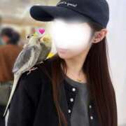 ヒメ日記 2026/05/09 13:08 投稿 秋吉 れん ホットアロマ