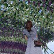 ヒメ日記 2025/07/22 19:44 投稿 椎名 このみ ホットアロマ