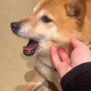 ヒメ日記 2025/10/20 19:46 投稿 天宮 かなで ホットアロマ