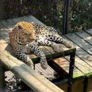 ヒメ日記 2025/07/03 20:52 投稿 東雲 はるな ホットアロマ