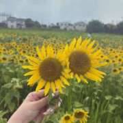 ヒメ日記 2025/08/18 11:48 投稿 東雲 はるな ホットアロマ