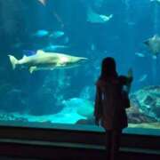 ヒメ日記 2026/01/23 21:09 投稿 東雲 はるな ホットアロマ