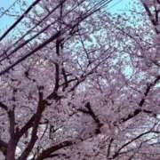 東雲 はるな 21:00から🌟 ホットアロマ