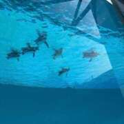 ヒメ日記 2026/05/01 00:22 投稿 東雲 はるな ホットアロマ