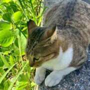 ヒメ日記 2026/04/03 18:01 投稿 麓 かえで ホットアロマ