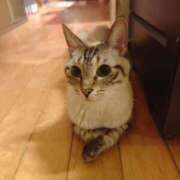 ヒメ日記 2026/02/22 14:50 投稿 星奈 もえ ホットアロマ