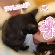 ヒメ日記 2026/05/20 11:09 投稿 星奈 もえ ホットアロマ
