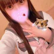 ヒメ日記 2026/01/09 09:01 投稿 はる VIPクリスタル