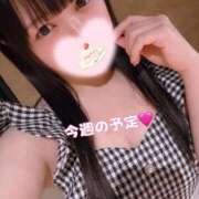 ヒメ日記 2026/02/08 23:11 投稿 はる VIPクリスタル