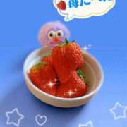 ヒメ日記 2026/03/28 10:40 投稿 ゆな マダム錦糸町