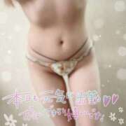 ヒメ日記 2025/04/26 17:18 投稿 岡田みつき お姉さんLABO -艶-