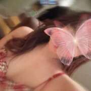 ヒメ日記 2025/05/19 16:48 投稿 岡田みつき お姉さんLABO -艶-