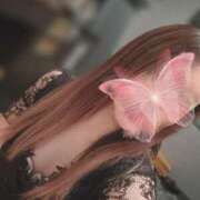 ヒメ日記 2025/07/19 23:19 投稿 岡田みつき お姉さんLABO -艶-