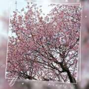ヒメ日記 2026/05/03 10:48 投稿 岡田みつき お姉さんLABO -艶-
