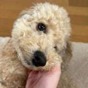 ヒメ日記 2025/09/16 19:16 投稿 えあ お姉さんSelect