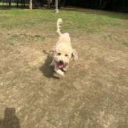 ヒメ日記 2025/09/30 12:08 投稿 えあ お姉さんSelect