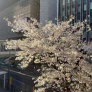 ヒメ日記 2025/04/16 15:13 投稿 りんこ 熟女の風俗最終章 所沢店