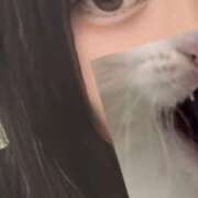 ヒメ日記 2025/06/11 22:25 投稿 湊 のの しゃせきょっ!XX教育される制服女子たち