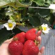 ヒメ日記 2026/04/10 20:12 投稿 天沢 そら ホットアロマ