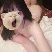 ヒメ日記 2025/04/16 20:16 投稿 滝沢 あゆな ホットアロマ