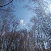 ヒメ日記 2026/03/20 23:27 投稿 いずみ サクラ（すすきの）