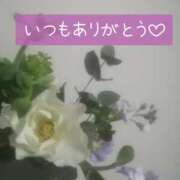 ヒメ日記 2026/04/05 13:03 投稿 いずみ サクラ（すすきの）