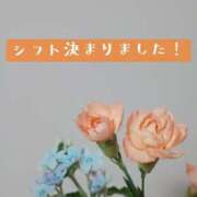 ヒメ日記 2026/08/12 20:18 投稿 いずみ サクラ（すすきの）