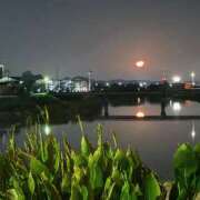 らむね 残り2日間 土浦ハッピーマットパラダイス