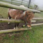 ヒメ日記 2025/05/06 11:29 投稿 有栖みづき(ありすみづき) 九州熟女　熊本店