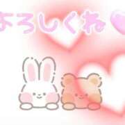 ヒメ日記 2026/02/28 14:25 投稿 椿 松戸おかあさん