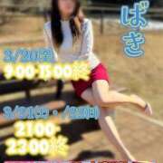 ヒメ日記 2026/03/18 23:23 投稿 椿 松戸おかあさん