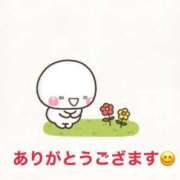 ヒメ日記 2026/04/15 09:15 投稿 椿 松戸おかあさん