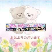 ヒメ日記 2026/05/02 09:35 投稿 椿 松戸おかあさん
