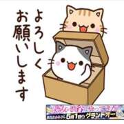 ヒメ日記 2026/05/09 09:55 投稿 椿 松戸おかあさん