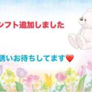ヒメ日記 2026/06/10 11:05 投稿 椿 松戸おかあさん