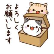 ヒメ日記 2026/06/16 09:15 投稿 椿 松戸おかあさん