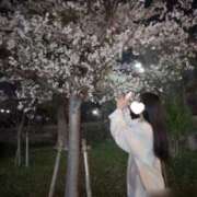 ヒメ日記 2025/04/12 19:37 投稿 あさがお ピンクコレクション大阪