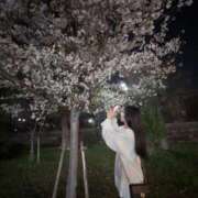 ヒメ日記 2025/06/09 19:41 投稿 あさがお ピンクコレクション大阪